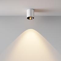 Дополнительная картинка Потолочный светильник Technical C064CL-5W3K-RD-WB