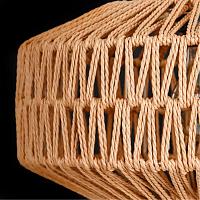 Дополнительная картинка Подвесной светильник Arte Lamp BRUSHWOOD A7087SP-1BK
