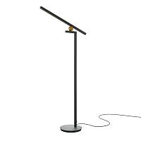 Дополнительная картинка Напольный светильник (торшер) Maytoni MOD363FL-L14B3K