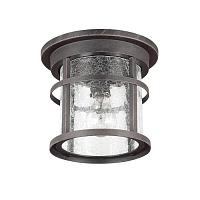 Дополнительная картинка Уличный светильник Odeon Light Nature Virta 4044/1C
