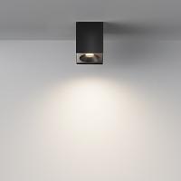 Дополнительная картинка Потолочный светильник Maytoni Sirius C030CL-01B