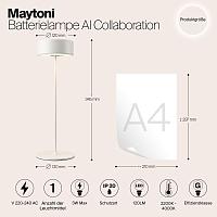 Дополнительная картинка Аккумуляторный светильник Maytoni MOD229TL-L3W3K2