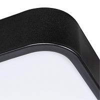 Дополнительная картинка Потолочный светодиодный светильник Arte Lamp Scena A2669PL-1BK