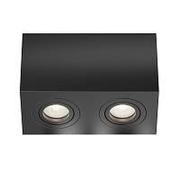 Дополнительная картинка Потолочный светильник Technical C017CL-02B