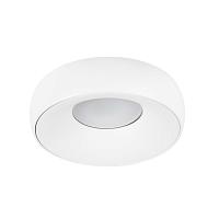 Дополнительная картинка Потолочный светильник Arte Lamp HEZE A6665PL-1WH