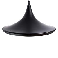 Дополнительная картинка Подвесной светильник Arte Lamp Cappello A3406SP-1BK