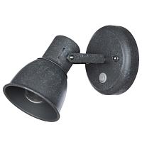 Дополнительная картинка Спот Arte Lamp A1677AP-1GY