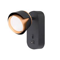 Дополнительная картинка Спот Arte Lamp AMAKS A8026AP-1BK